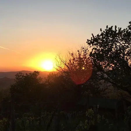 Dom wakacyjny Casa Il Melograno